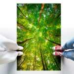 decora-tu-mundo-vinilo-suelo-antideslizante-3