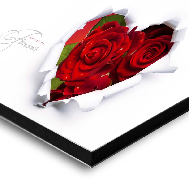 decora-tu-mundo-materiales-rigidos-aluminio-sandwich-blanco