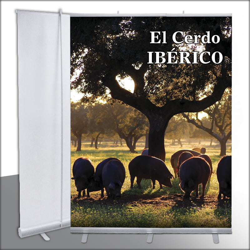 decora-tu-mundo-roll-up-150-foto1