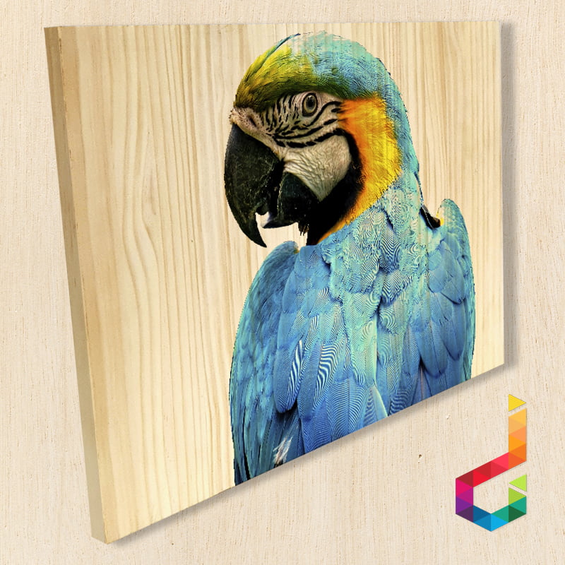 decora-tu-mundo-materiales-rigidos-madera-de-pino-8