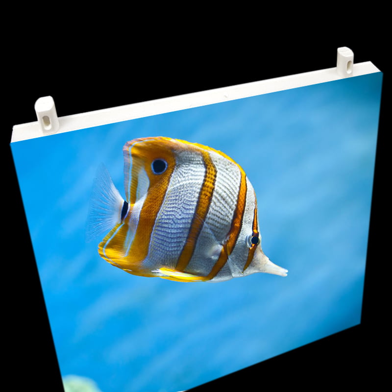 decora-tu-mundo-colgador-carton-pluma-foto-1